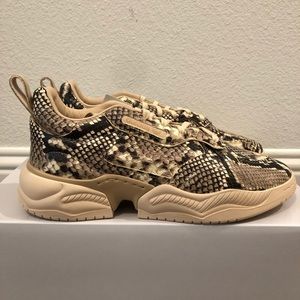adidas Shoes Adidas Supercourt Rx Snakeskin Print Mens Shoes Size 2 Limited Edition Poshmark